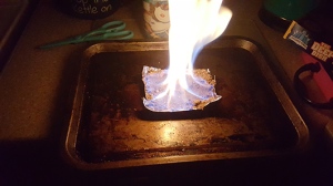 I discovered fire!